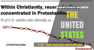 Exploring the Size of the Catholic Population in the United States