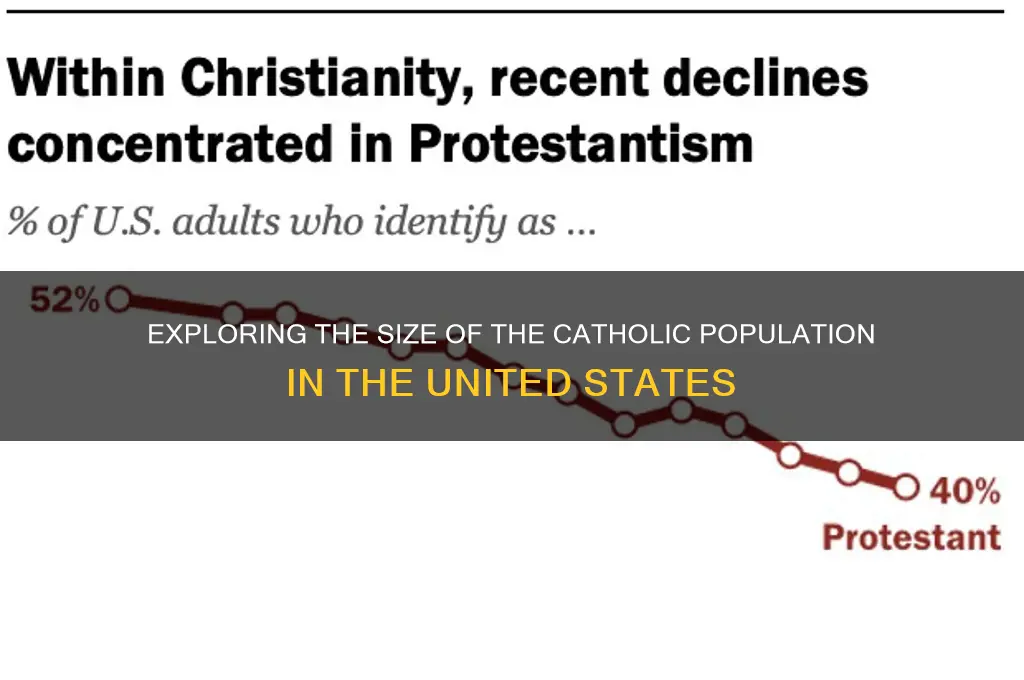 how many catholics are there in the united states