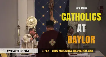 Exploring the Catholic Community at Baylor University: Numbers and Insights