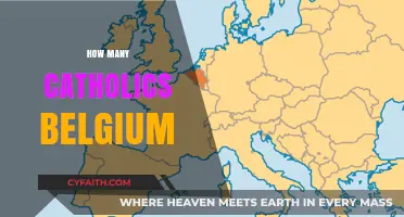 Exploring Belgium's Catholic Population: Numbers, Trends, and Insights