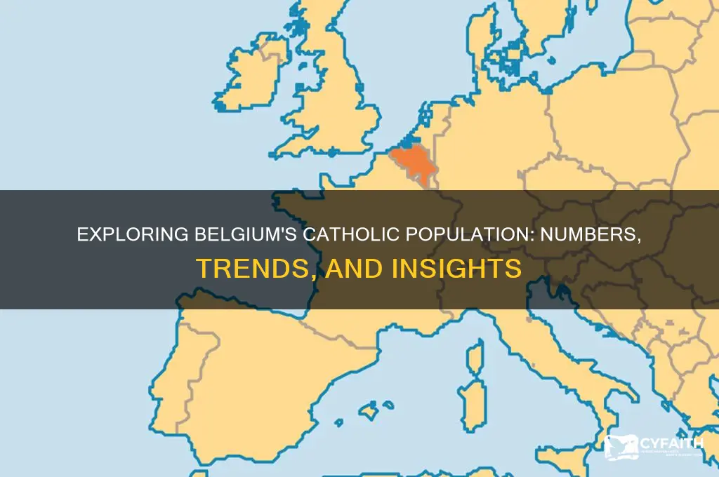 how many catholics belgium