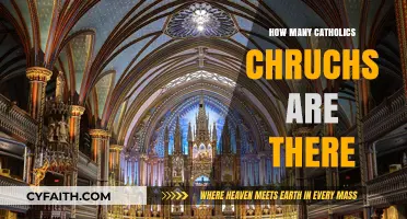 Exploring the Vast Number of Catholic Churches Globally