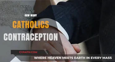 Understanding Catholic Teachings on Contraception: Beliefs and Practices Explored