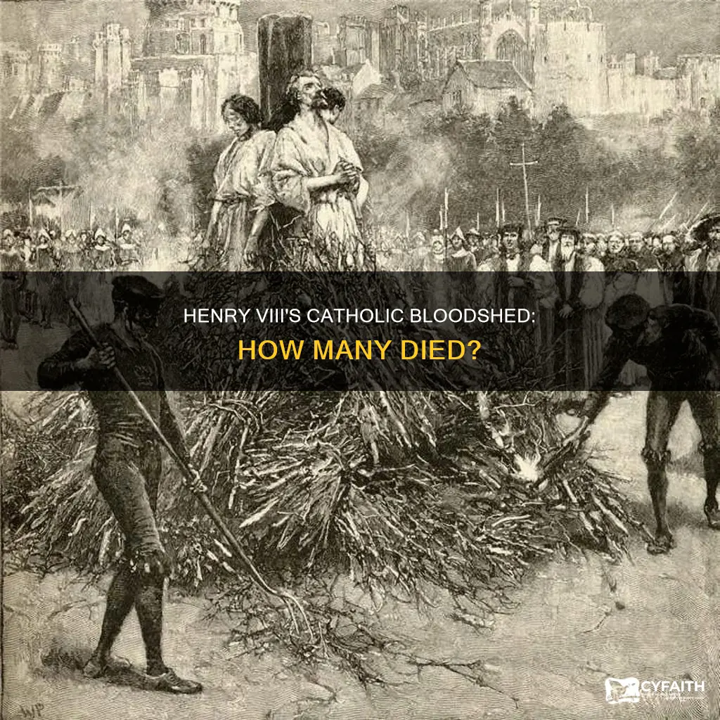 how many catholics did henry viii have killed