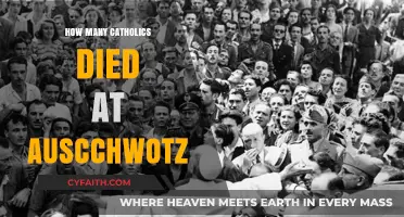 The Deadly Toll: Catholic Deaths at Auschwitz