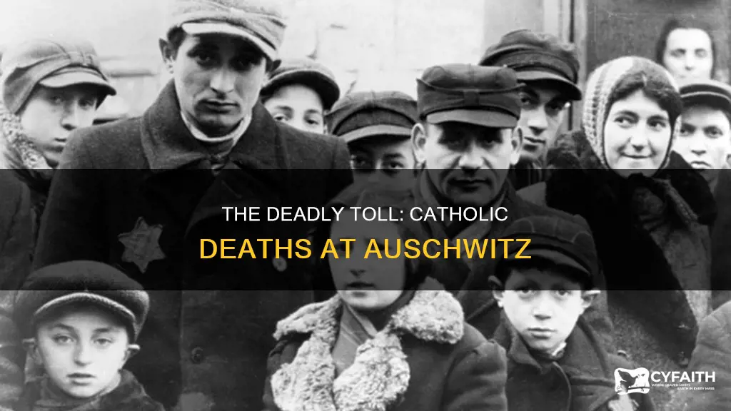 how many catholics died at auscchwotz