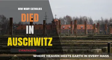 Auschwitz: Catholic Deaths, A Tragic Toll