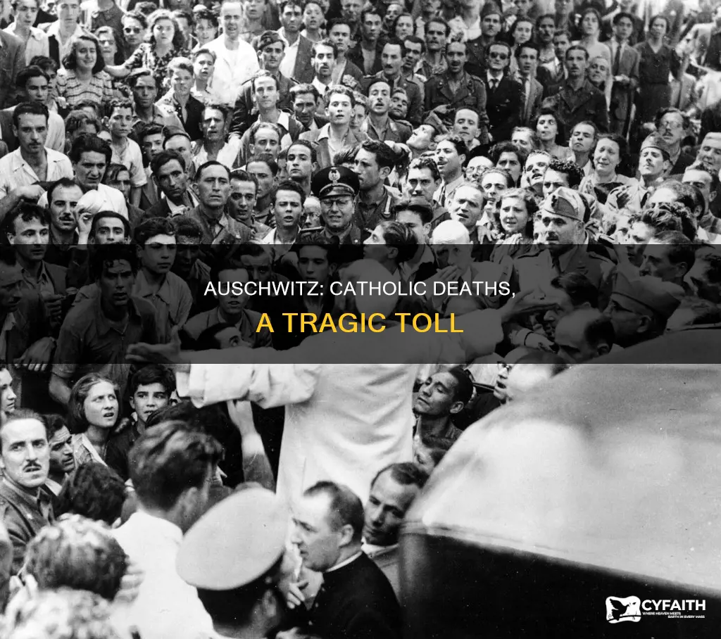 how many catholics died in auschwitz
