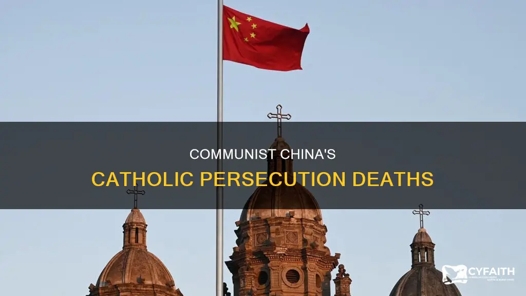 how many catholics died in communist china