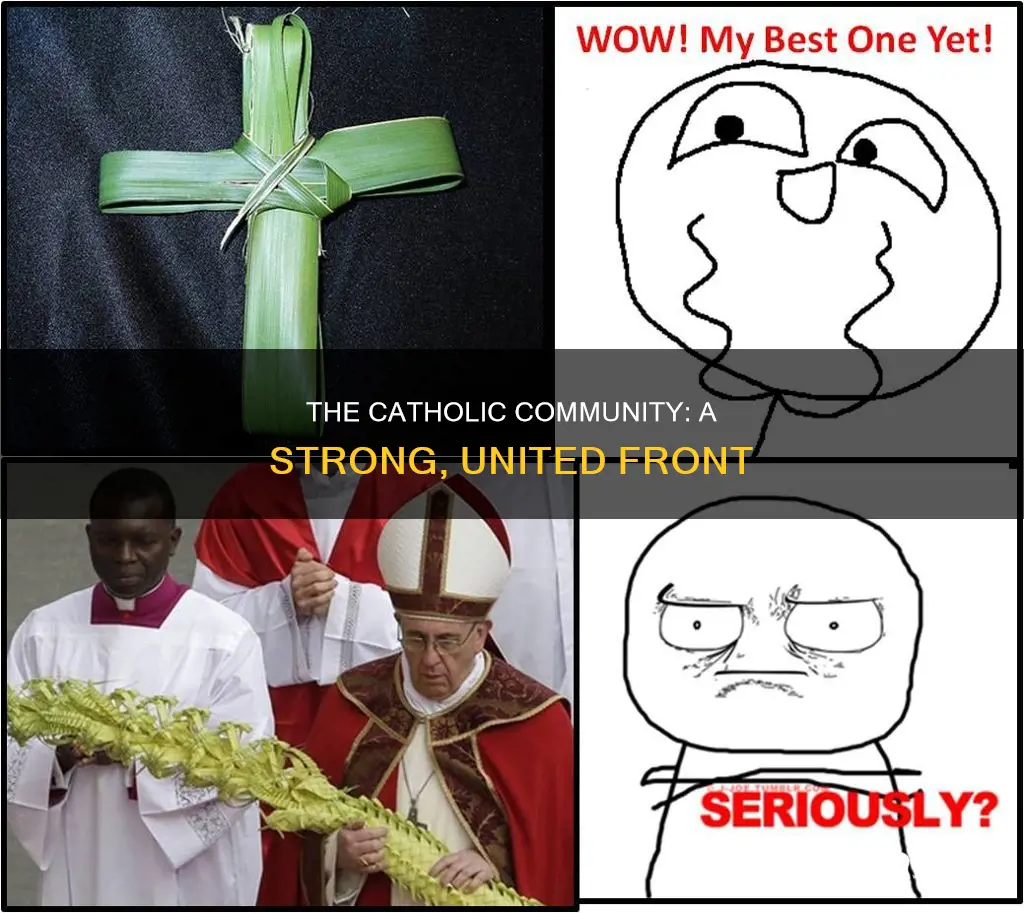 how many catholics does it take