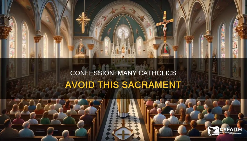 how many catholics dont go to confession