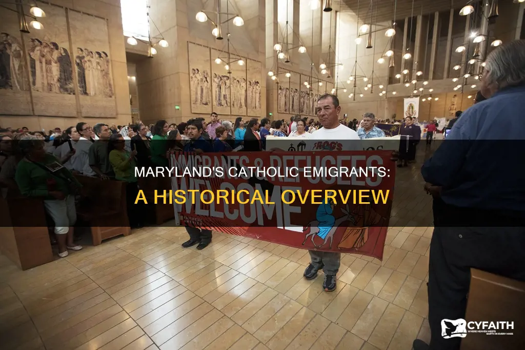 how many catholics emigrated to early maryland