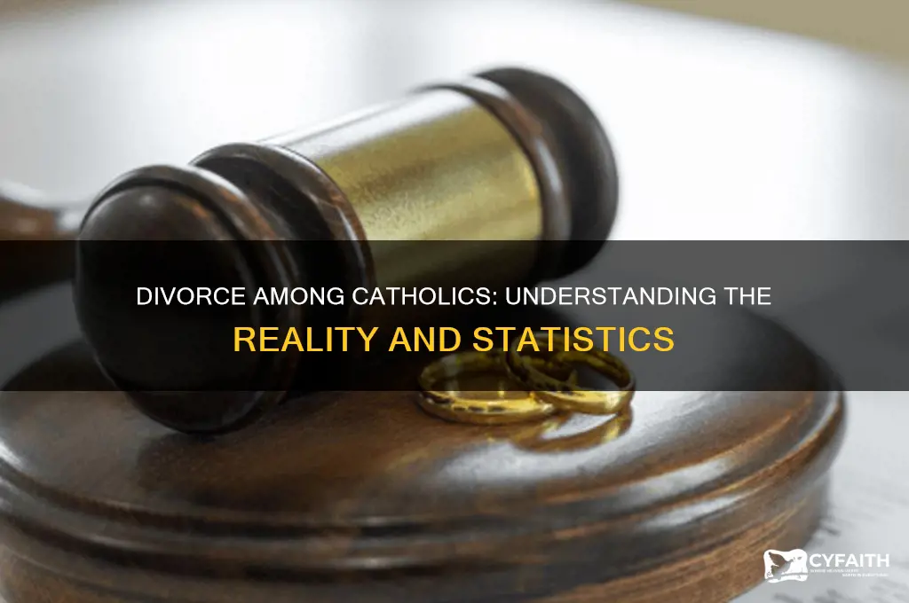 how many catholics get divorced