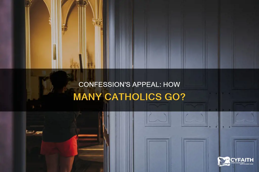how many catholics go to confesion