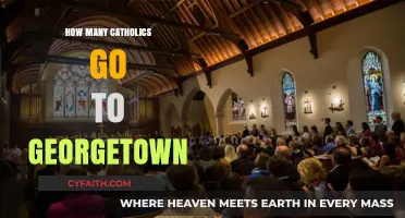 Georgetown's Catholic Student Population: A Comprehensive Overview