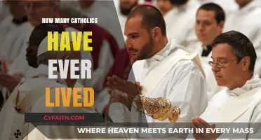 Exploring the Vast Catholic Community Over Time