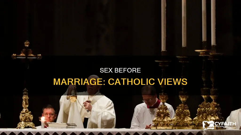 how many catholics have sex before marriage