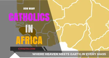 Exploring the Growing Catholic Population Across Africa's Diverse Nations