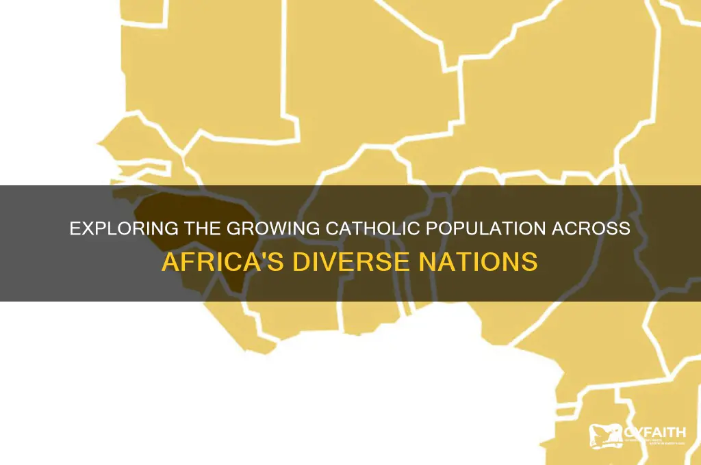 how many catholics in africa