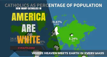 White Catholics: A Shrinking Majority in America