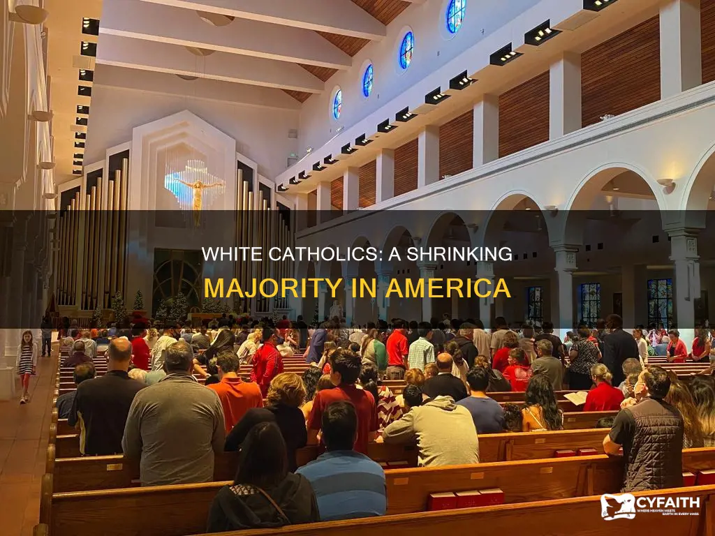 how many catholics in america are white