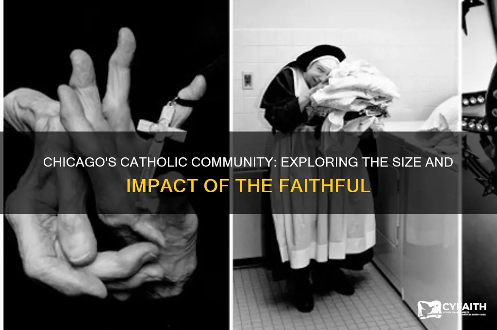 how many catholics in chicago