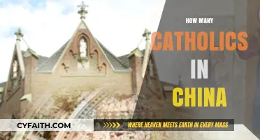 Exploring the Size and Growth of China's Catholic Population