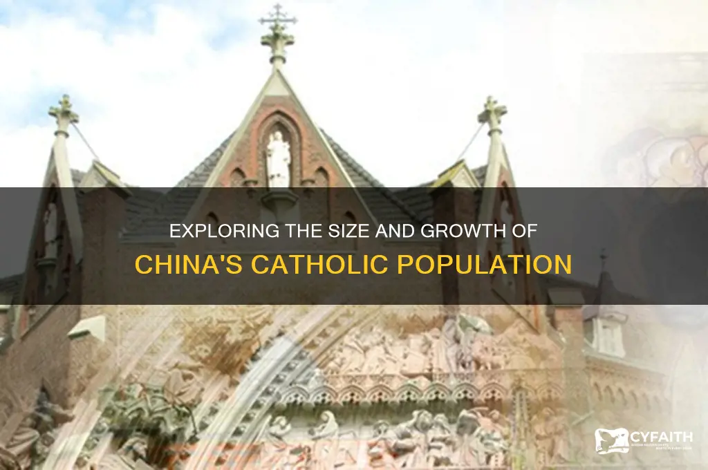 how many catholics in china