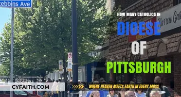 Pittsburgh Diocese: Catholic Population Insights