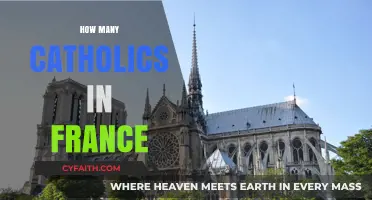 Exploring France's Catholic Population: Numbers, Trends, and Insights