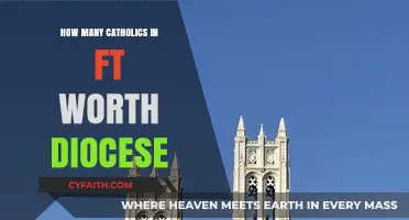 Catholics in Fort Worth: A Growing Diocese