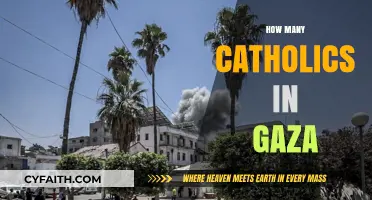 Catholic Presence in Gaza: Exploring the Faith Community's Size