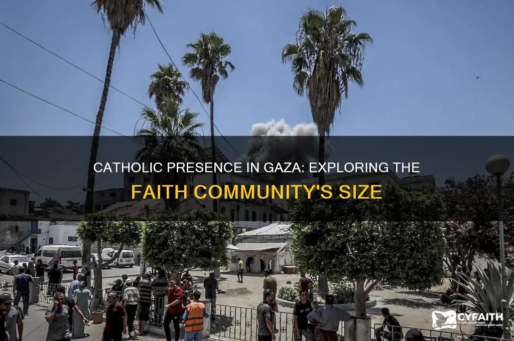 how many catholics in gaza