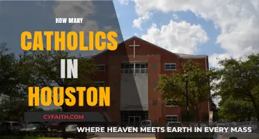 Houston's Catholic Community: Exploring the Size and Impact of the Faithful
