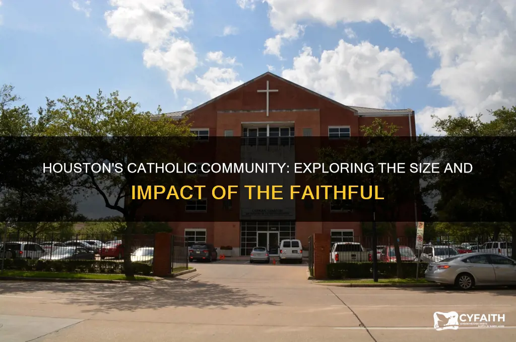 how many catholics in houston