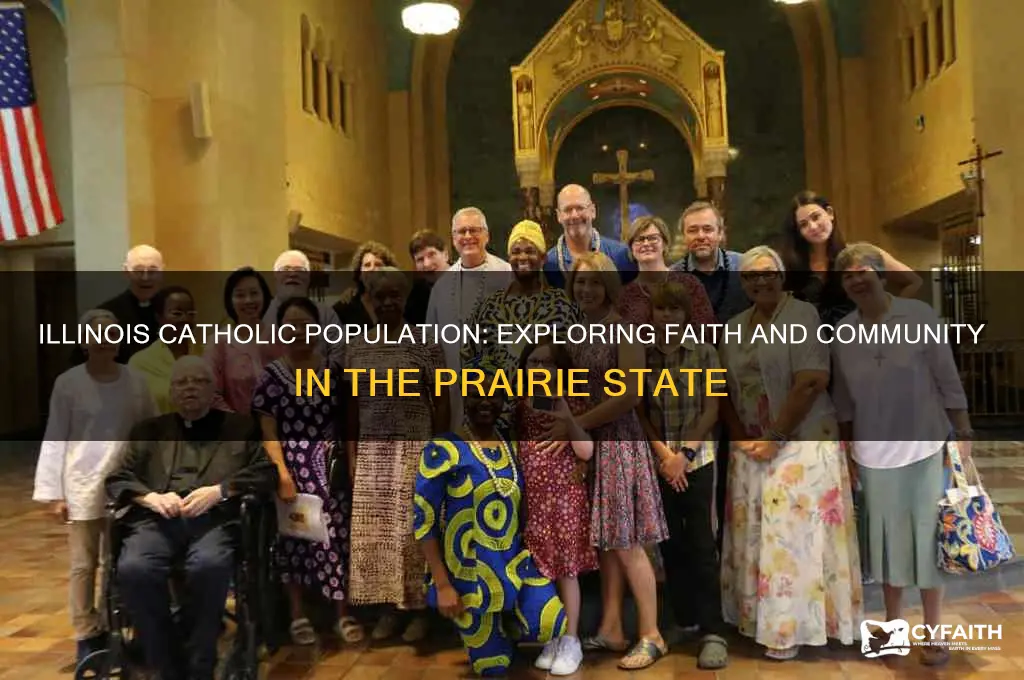 how many catholics in illinois