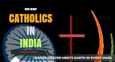Exploring the Catholic Population in India: A Comprehensive Overview