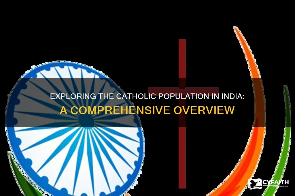 how many catholics in india