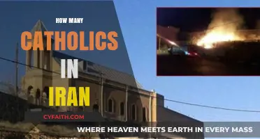 Exploring Iran's Catholic Community: Size, Presence, and Faith Dynamics