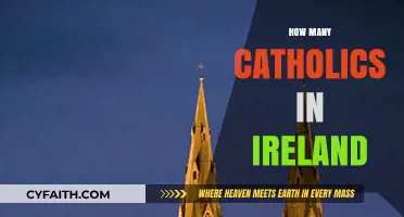 Ireland's Catholic Population: Trends, Statistics, and Cultural Significance