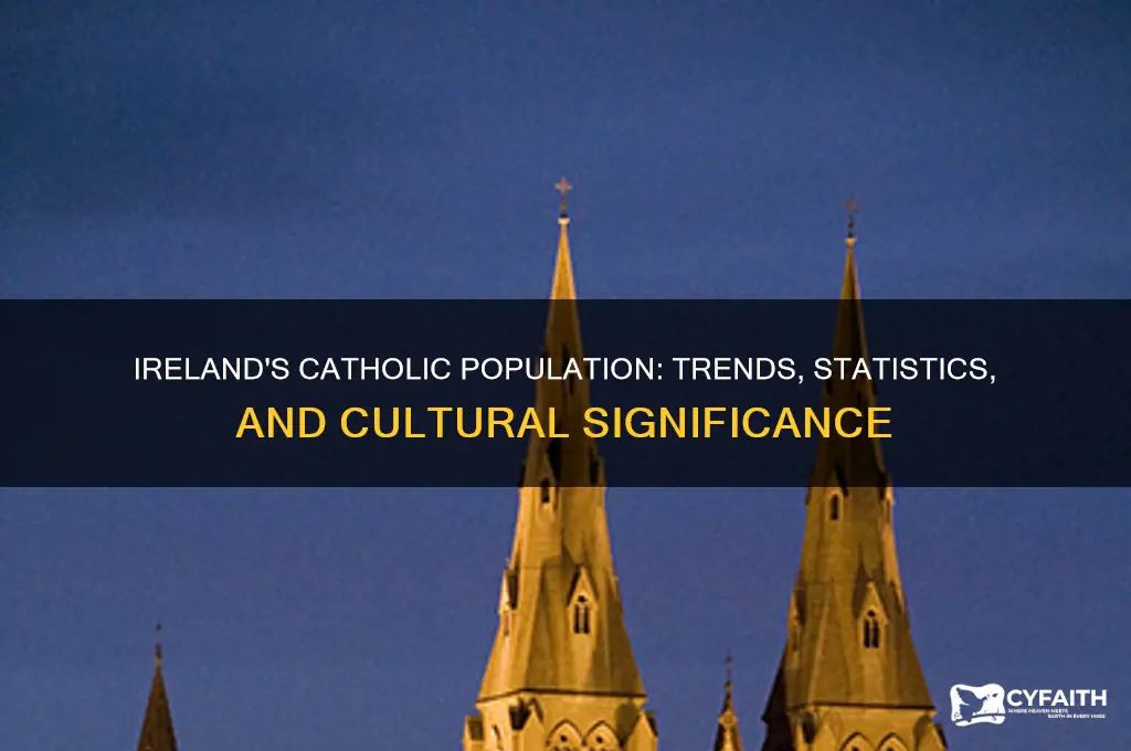 how many catholics in ireland
