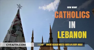 Lebanon's Catholic Population: A Comprehensive Overview of Faith and Numbers