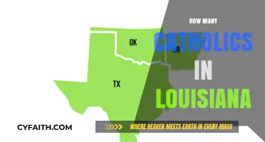 Louisiana's Catholic Population: Exploring Faith and Demographics in the State