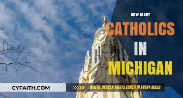 Exploring Michigan's Catholic Population: Numbers, Trends, and Insights