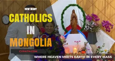 Exploring the Catholic Community in Mongolia: A Surprising Presence