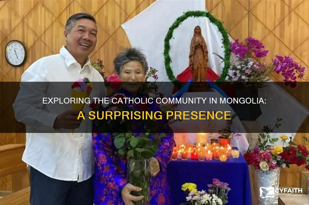 how many catholics in mongolia