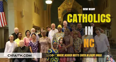 Exploring the Catholic Population in North Carolina: Facts and Figures