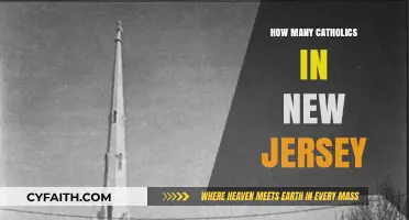 Catholics in New Jersey: Population Insights