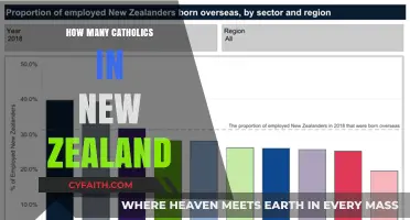 Catholics in New Zealand: A Snapshot