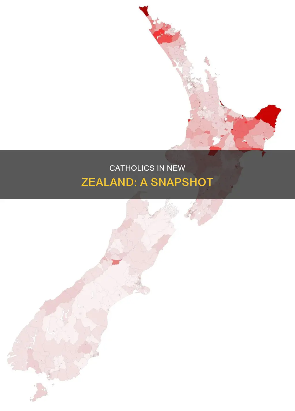 how many catholics in new zealand